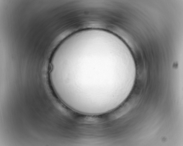 X0000103330437200809192208