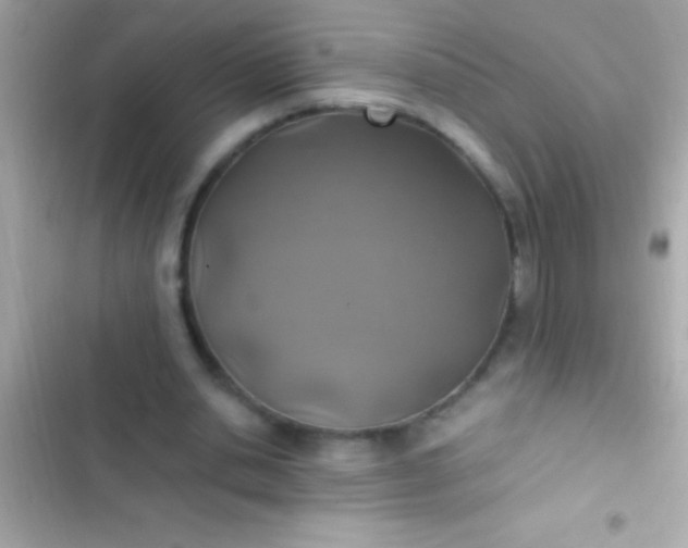 X0000103330438200809192208