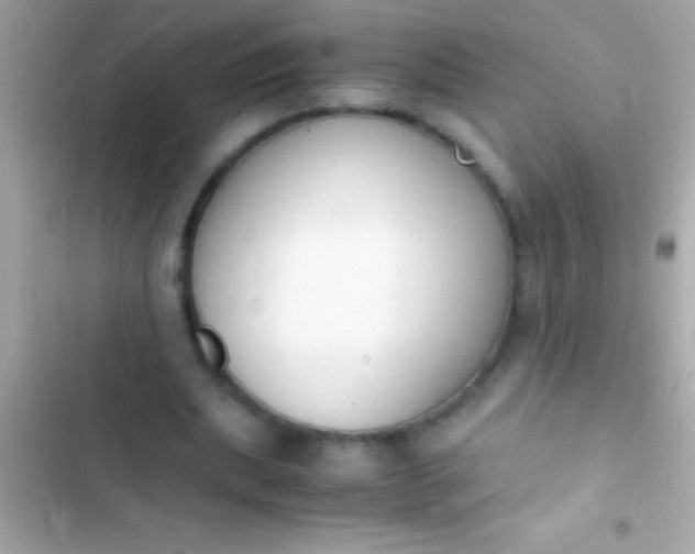 X0000103330439200809192208