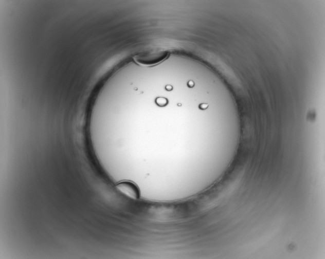 X0000103330440200809192208