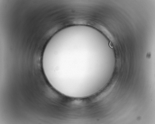 X0000103330441200809192208