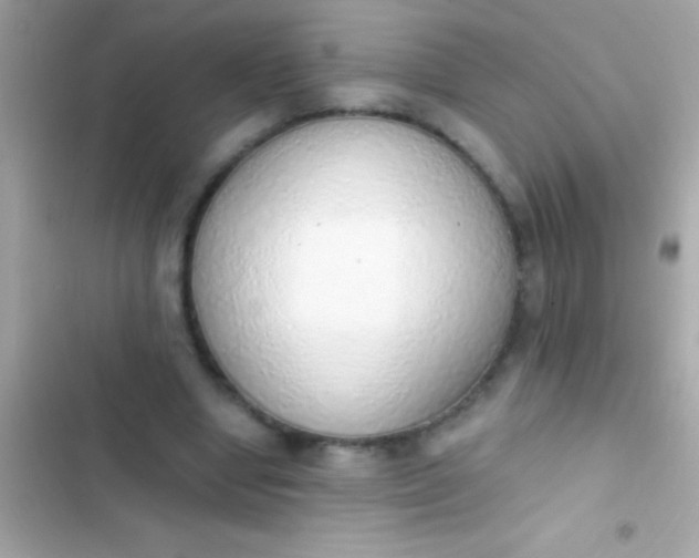 X0000103330442200809192208