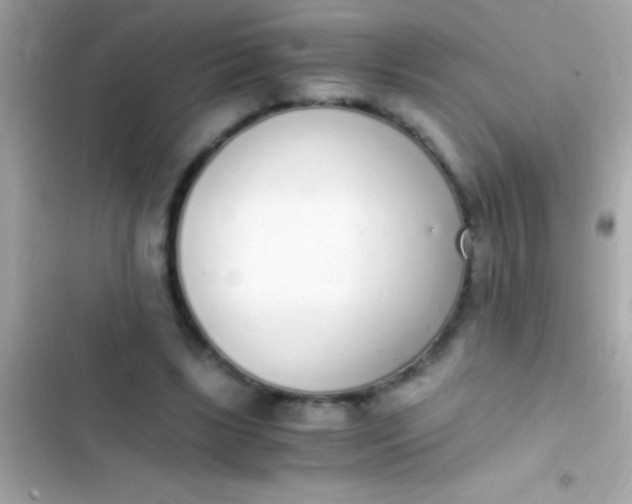 X0000103330443200809192208