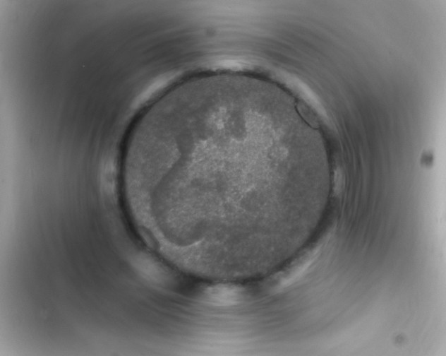 X0000103330444200809192208