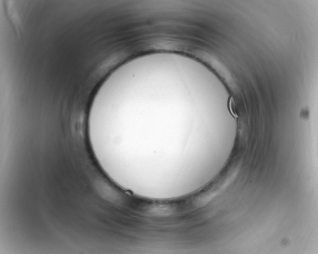 X0000103330445200809192208