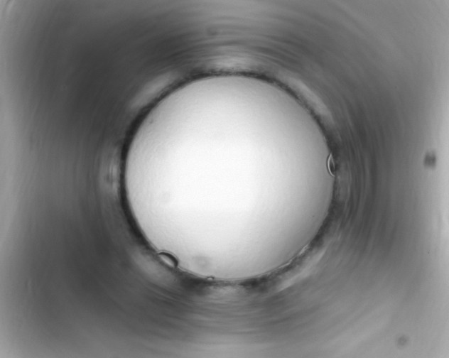 X0000103330446200809192208