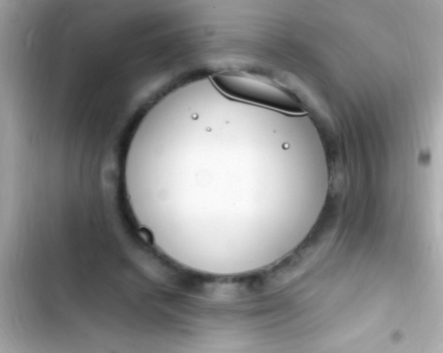 X0000103330448200809192209