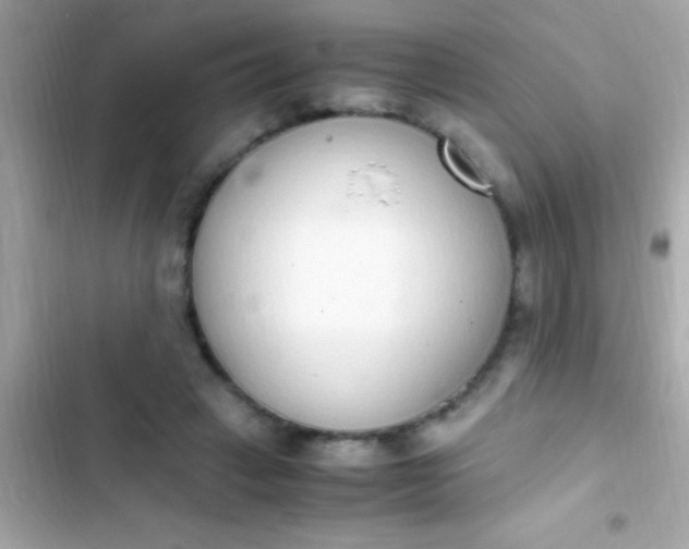 X0000103330449200809192209