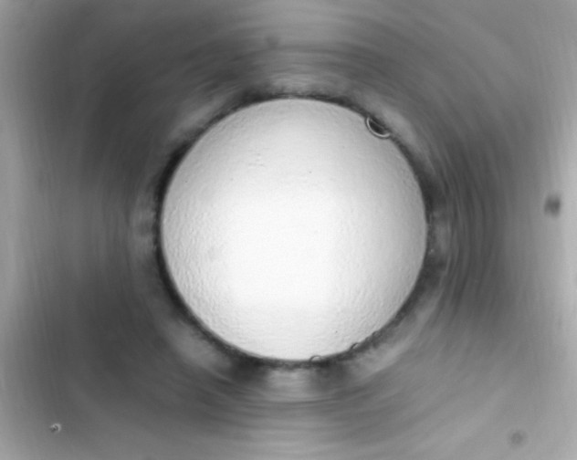 X0000103330450200809192209