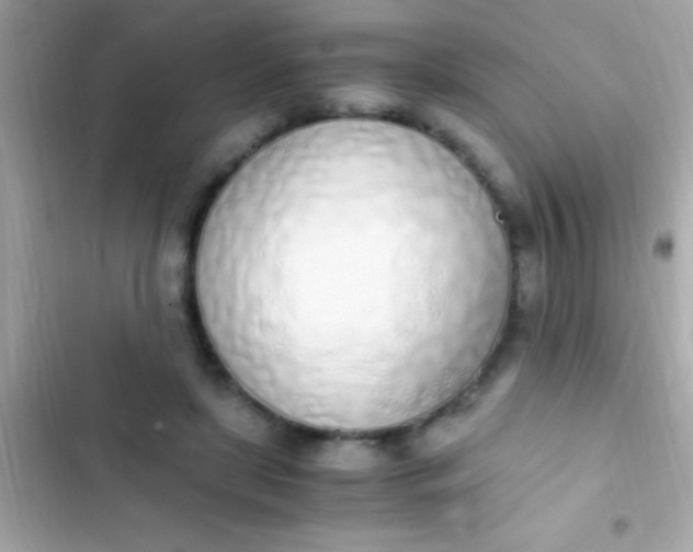 X0000103330451200809192209