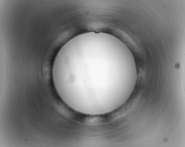 X0000103330452200809192209