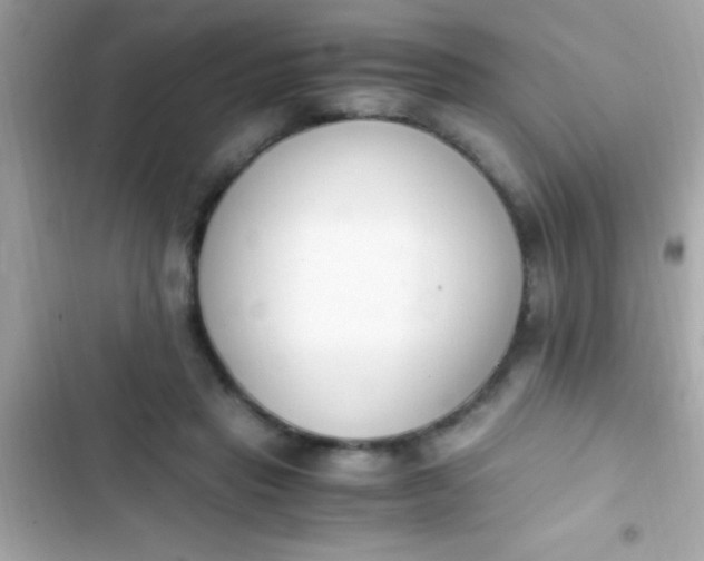 X0000103330453200809192209