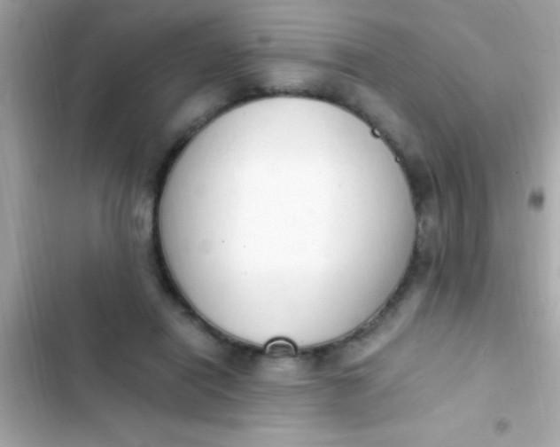 X0000103330454200809192209