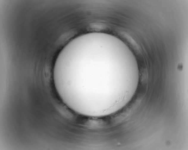 X0000103330455200809192209