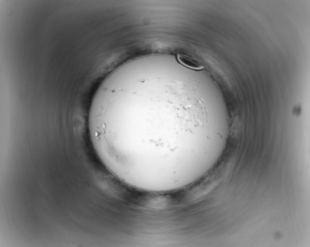 X0000103330456200809192209