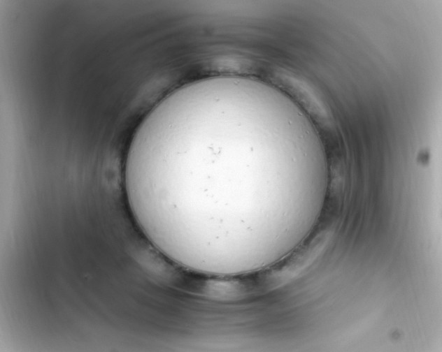 X0000103330457200809192209