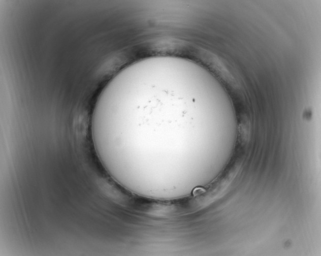 X0000103330458200809192209