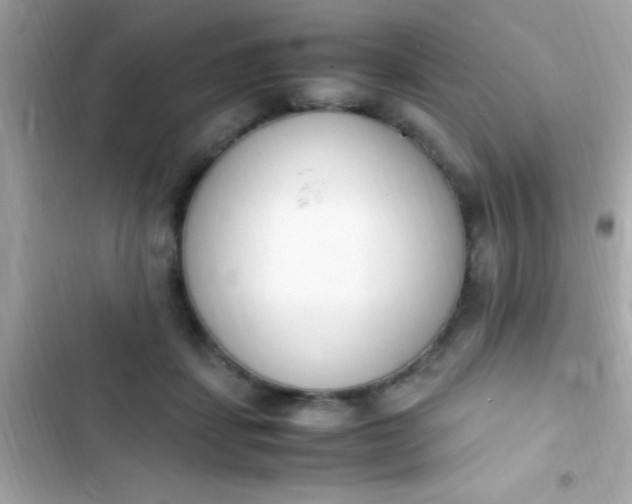 X0000103330459200809192209