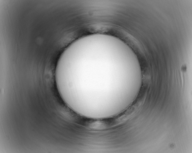 X0000103330460200809192209