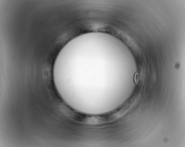 X0000103330461200809192209