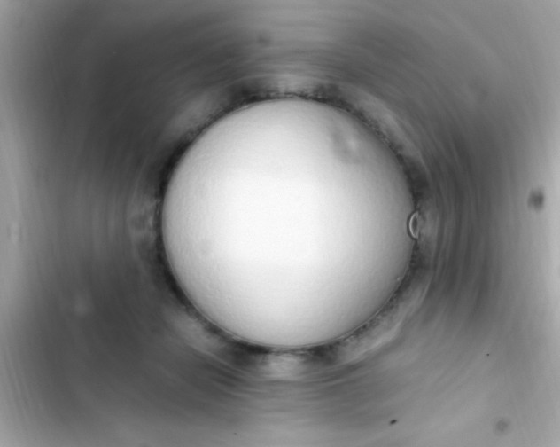 X0000103330462200809192209