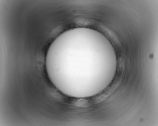 X0000103330463200809192209