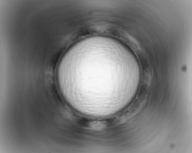 X0000103330465200809192209