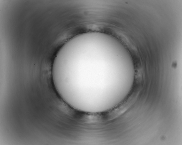 X0000103330466200809192209