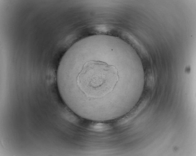 X0000103330467200809192209