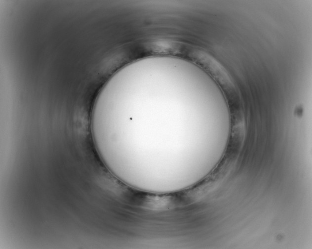 X0000103330469200809192209