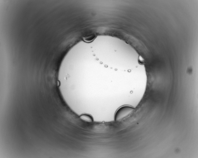 X0000103330470200809192209