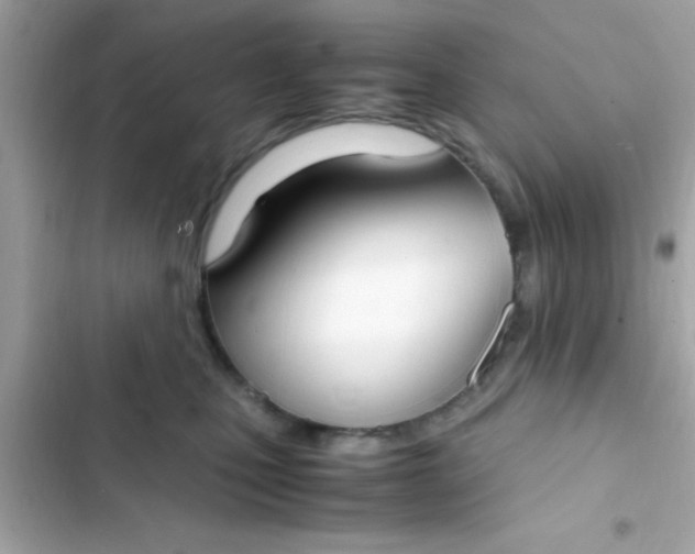 X0000103330471200809192209