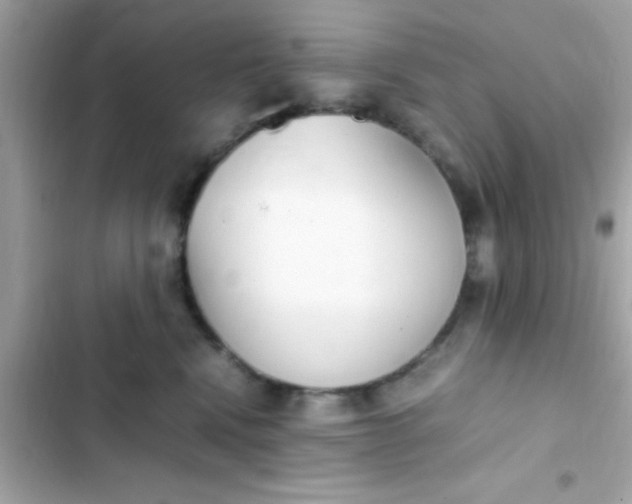 X0000103330472200809192209