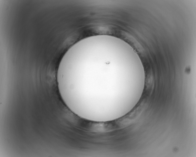 X0000103330473200809192209