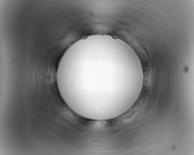 X0000103330474200809192209