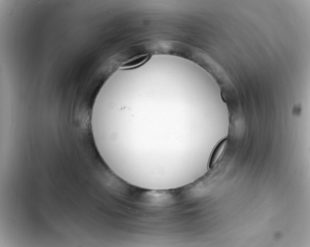 X0000103330477200809192209