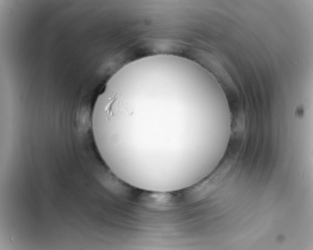 X0000103330478200809192209