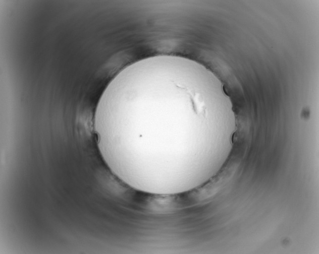 X0000103330479200809192209