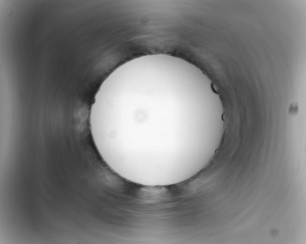 X0000103330480200809192209