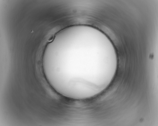 X0000103330481200809192208