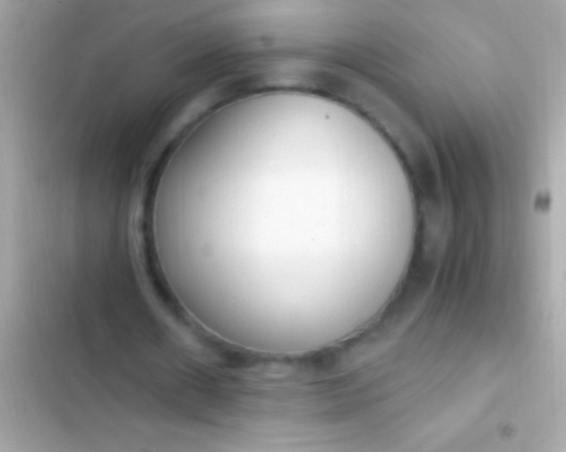 X0000103330482200809192208