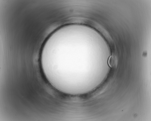 X0000103330483200809192208