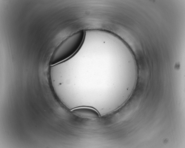 X0000103330485200809192208