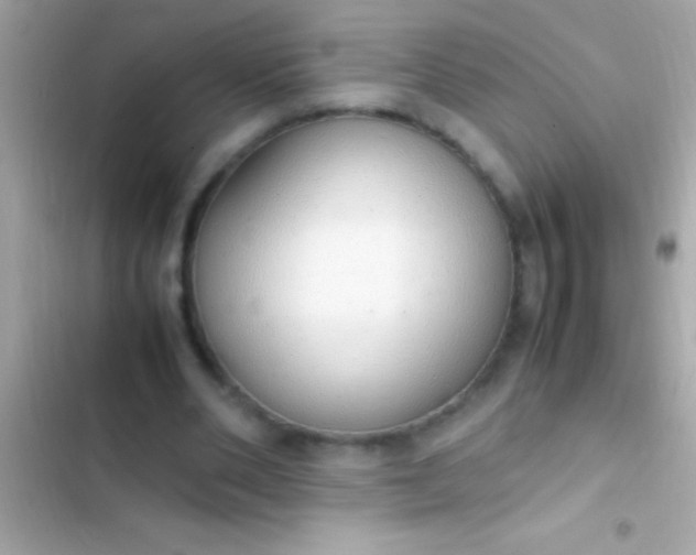 X0000103330486200809192208