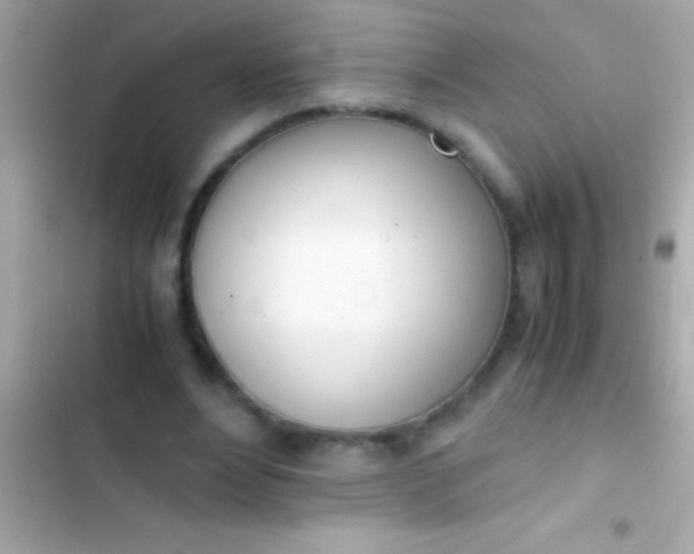 X0000103330488200809192208