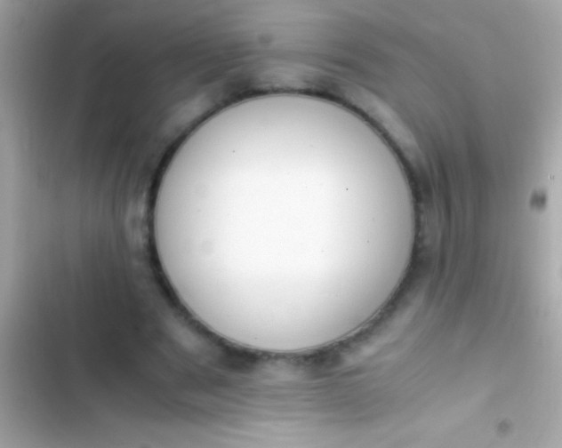 X0000103330489200809192208