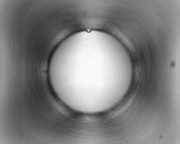 X0000103330490200809192208