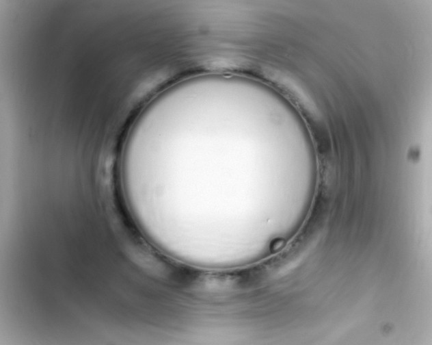 X0000103330491200809192208