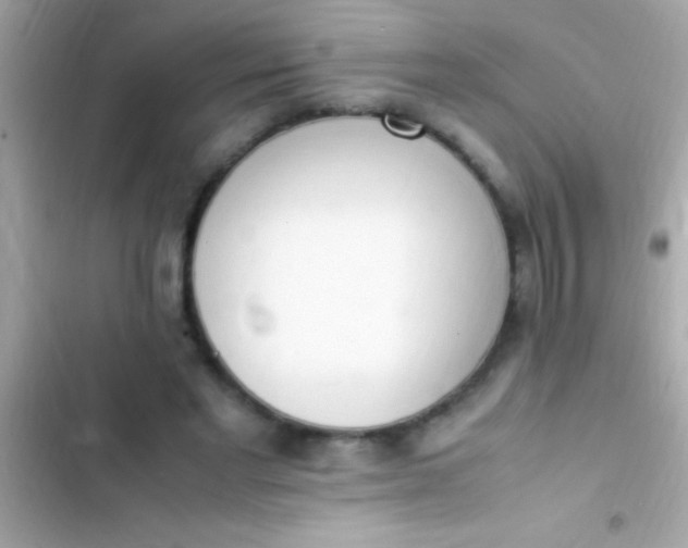 X0000103330493200809192208