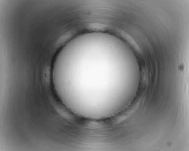 X0000103330494200809192208